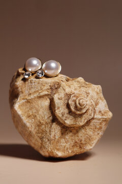 Elegant pearl earrings placed on a shell on a neutral background