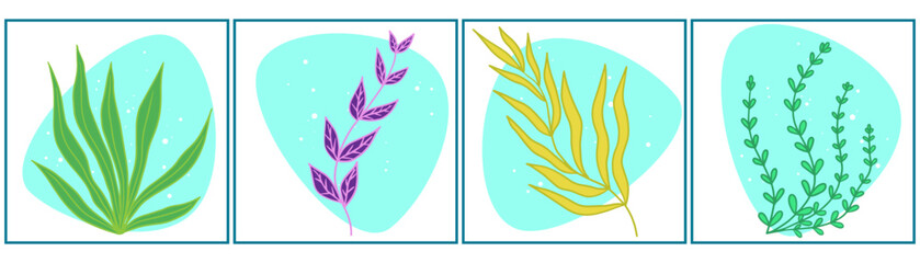 A set of plants growing in water, various algae. Vector illustration on white isolated background