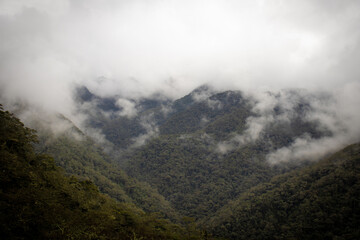 Fototapeta premium Hermosa fotografía del recorrido del Valle del Cocora en Colombia tomada en un día nublado.