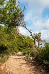 Wanderweg im Naturpark Serra d'Irta bei Alcossebre, Provinz Castellón, Autonome Gemeinschaft Valencia, Spanien
