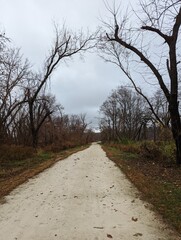A long gravel and dirt path in the winter with trees that are dormant for the year. It is a deary day that is overcast and cloudy.