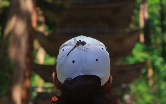 A dragonfly landed on a man's baseball cap.
