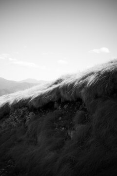 Hill And Grass