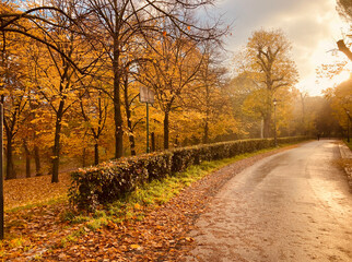 Il parco d'autunno