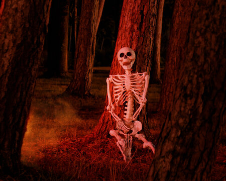 Scary Skeleton Alone in Woods