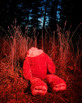 Scary Teddy Bear with No Face in Woods