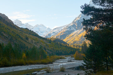 Stunning autumn scenery of famous alp peak Matterhorn capped by snow and yellowed larches on foreground. Swiss Alps, Valais, Switzerland