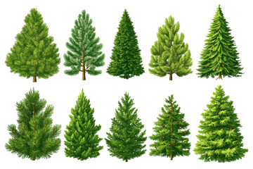 Christmas trees in the form of engravings, isolated decorations for the holidays