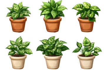 Fototapeta premium Set of potted indoor plants in doodle style