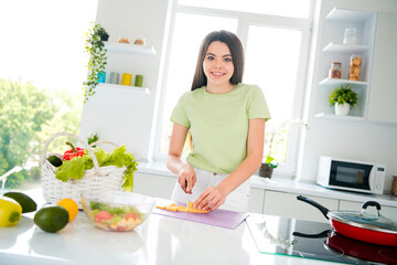 Young woman girl preparing a healthy meal in a bright and modern kitchen