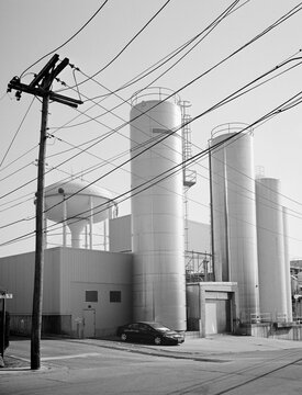 Milk Pasteurizing Plant