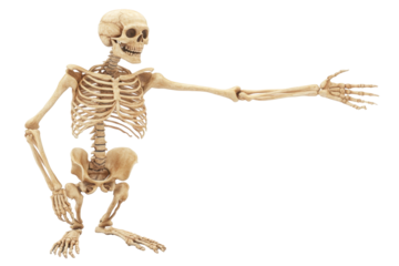 The skeleton is in a mysterious pose, its hand is stretched forward, as if it wants to convey something