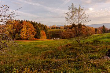 Foret en automne pour se balader