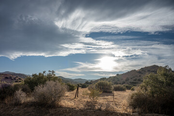 Discover the Beauty of Joshua Tree National Park Today