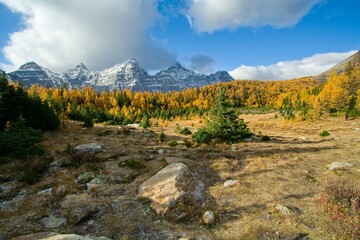 landscape in the mountains canadian rockies
