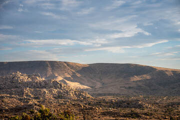 Discover the Beauty of Joshua Tree National Park Today