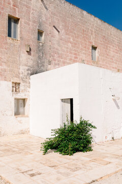 Bougainvillea bush decorating the courtyard architecture of a masseria
