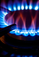  Intense blue flames burning on a gas stove burner, showcasing texture and energy.