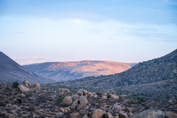 Discover the Beauty of Joshua Tree National Park Today