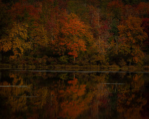 autumn trees reflected in water