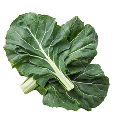 Fresh collard greens with vibrant green leaves and strong stems, ideal for healthy cooking.