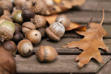 Acorns on a table