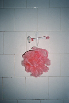 Loofah and Razor on Bathroom Wall