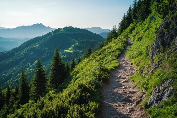 Steep mountain path lined with green forests, following the contours of a rugged hillside under a clear sky.