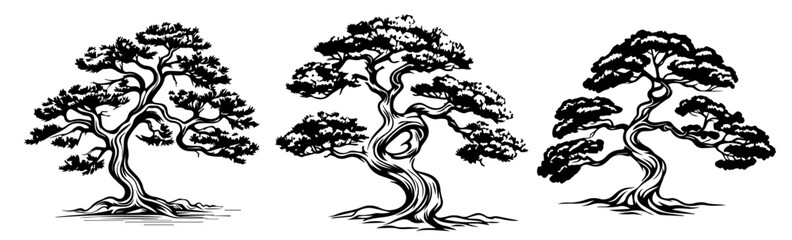 bonsai trees in intricate hand-drawn style – black vector illustration set