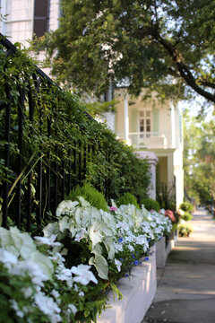 A Street Lined With Flower Boxes