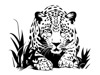 wild leopards in realistic hand-drawn ink style black vector