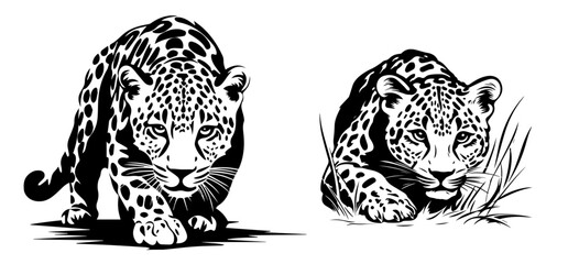 wild leopards in realistic hand-drawn ink style black vector © Luka