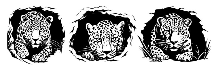 wild leopards in realistic hand-drawn ink style black vector