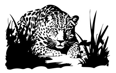 wild leopards in realistic hand-drawn ink style black vector
