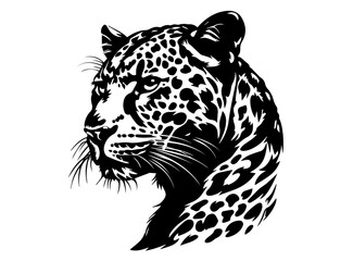 wild leopards in realistic hand-drawn ink style black vector