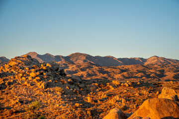 - sunrise, Joshua, tree, national, park, desert, California, nature, landscape, photography,...