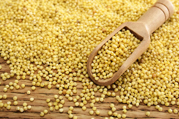 Spoon of millet on rustic wooden background, gluten free grain for healthy diet, selective focus,...