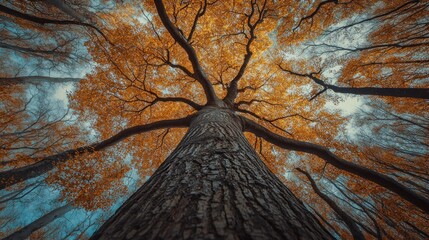 in late autumn, a tall and mighty, majestic tree, shoot at an elevation angle, feel the natural beauty of this tree and branches, tiny leaves, intoxicating, immersive, this picture is shocking.