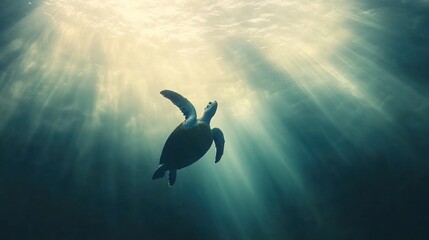 A serene underwater scene featuring a turtle swimming towards the light.