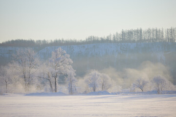 霧氷と気嵐