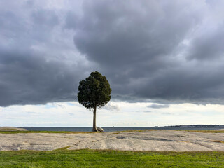 Lone Tree cloud landscape coast of Massachusetts 