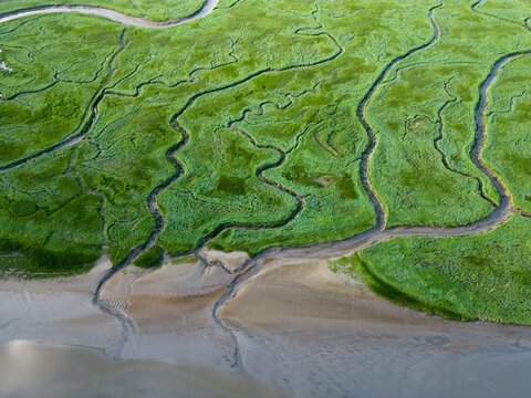 Aerial view of tidal channels and gullies, Saeftinge, The Netherlands