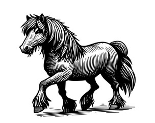 detailed horse illustration in hand-drawn black vector style