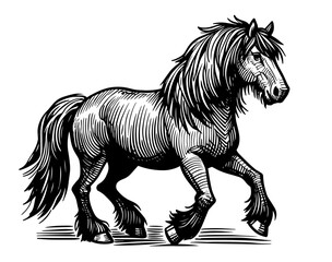detailed horse illustration in hand-drawn black vector style