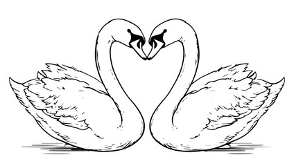 two swans forming a heart in elegant hand-drawn black vector illustration
