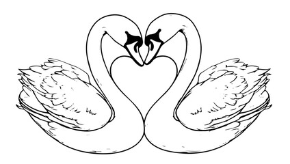 two swans forming a heart in elegant hand-drawn black vector illustration © Luka