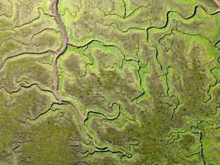 Aerial view of tidal channels and gullies, Saeftinge, The Netherlands