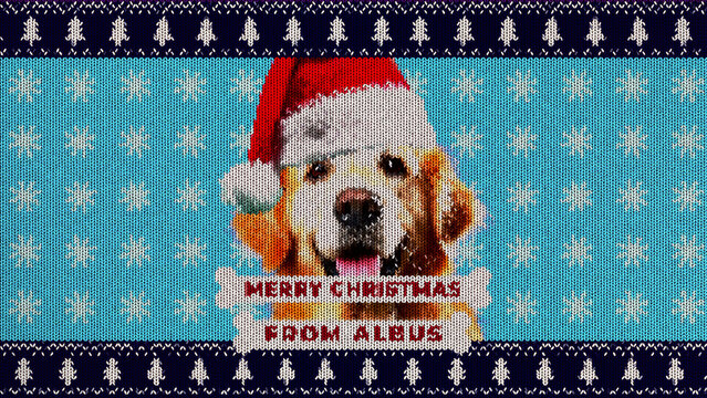 Funny Dog Christmas Knit Sweater Slideshow 107 1:1 16:9 9:16