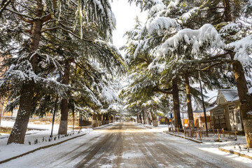 Winter in Armenia. Road in city Dilijan. Empty snowy street. Tavush region in Armenia. Road leading...