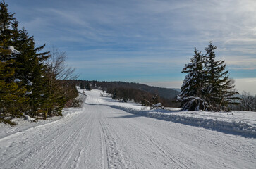 Obraz premium snow covered trees, beskydy, czech mountain, frozen sunny day, travel, vacation destination, winter in mountain